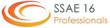 SSAE 16 Professionals Has Unveiled a Specialty Service Line Focusing...